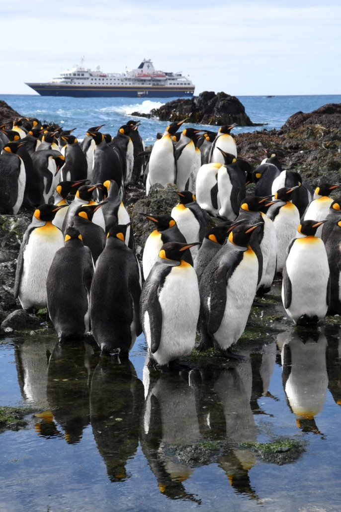 macquarie island aaron russ