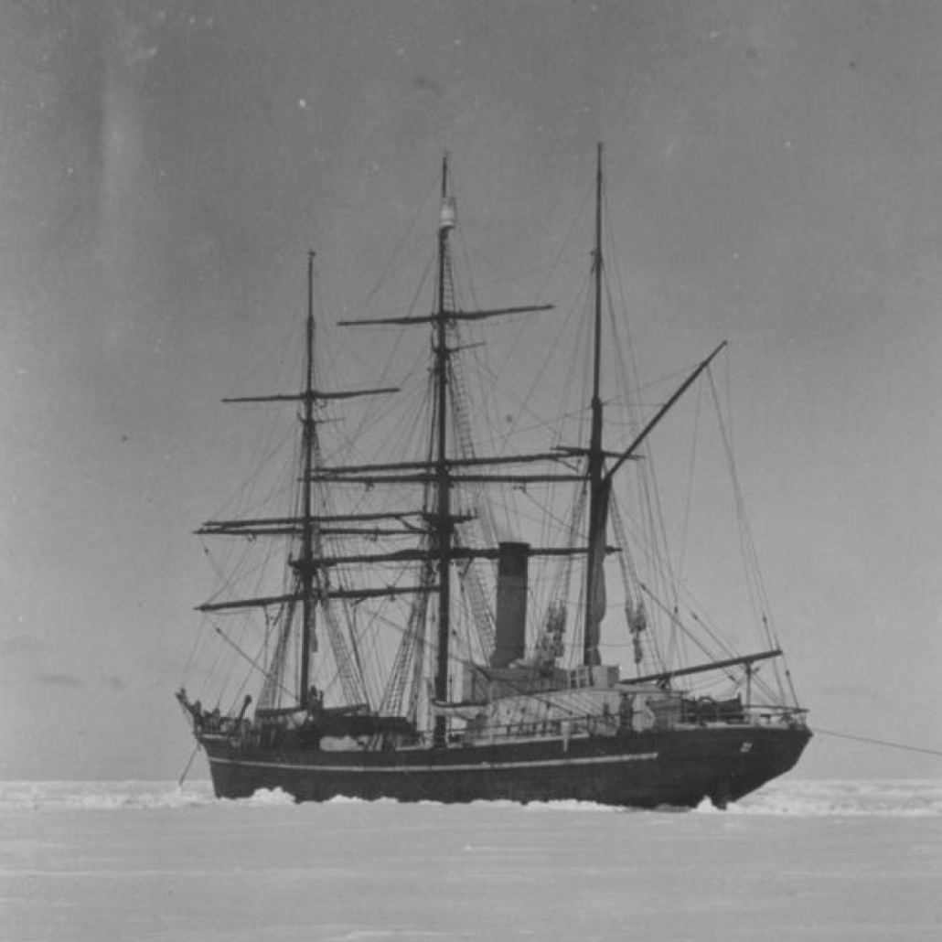 Terra Nova
