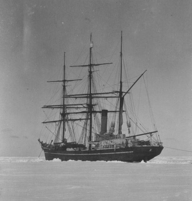 terra nova pack ice terra nova pack ice e1752198494738